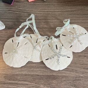 Elegant Cream Sand Dollar Ornaments- set of 4